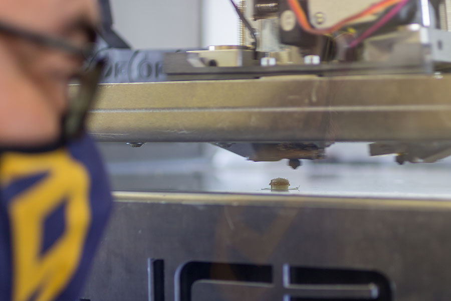 Foto 2 proyecto NUTRAFARM